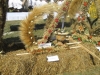 Dożynki – Dębinа 2015, Gmina Jelcz-Laskowice, Polska