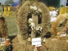 Dożynki – Dębinа 2015, Gmina Jelcz-Laskowice, Polska