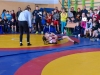 Щирецький килим 2017
