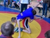 Щирецький килим 2017