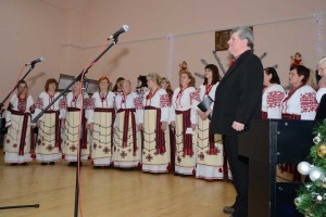 Натисніть для перегляду в повному розмірі Jabluneva_jalynka25