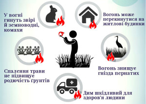 Натисніть для перегляду в повному розмірі Suha_trava9